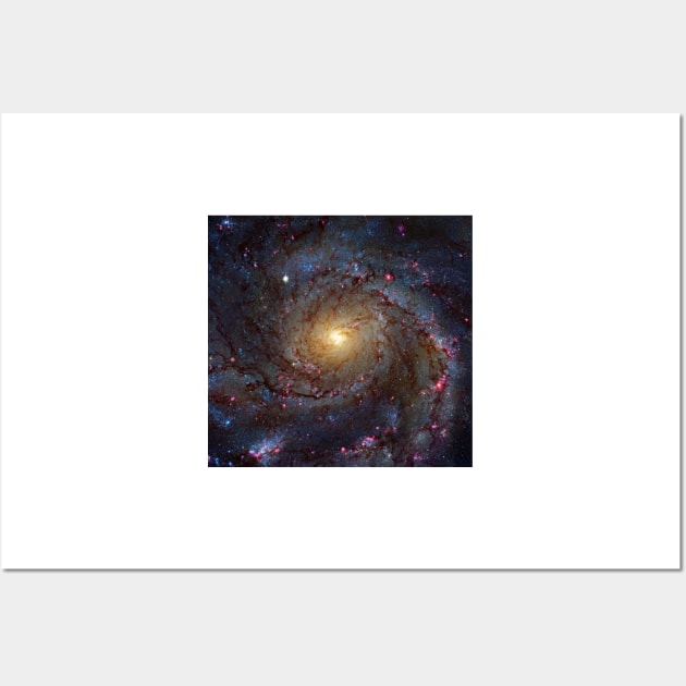 Pinwheel Galaxy, HST image (C030/0050) Wall Art by SciencePhoto